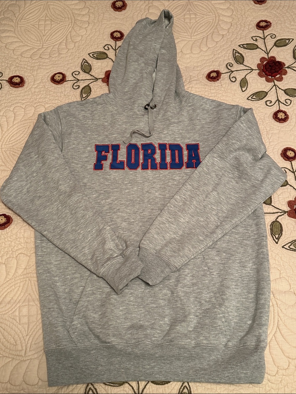 Florida Gray Hoodie Sweatshirt with Blue & Red Lettering